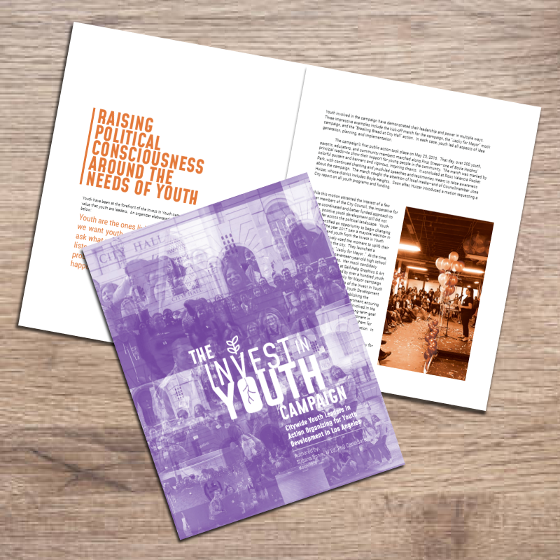 Report - Invest in Youth