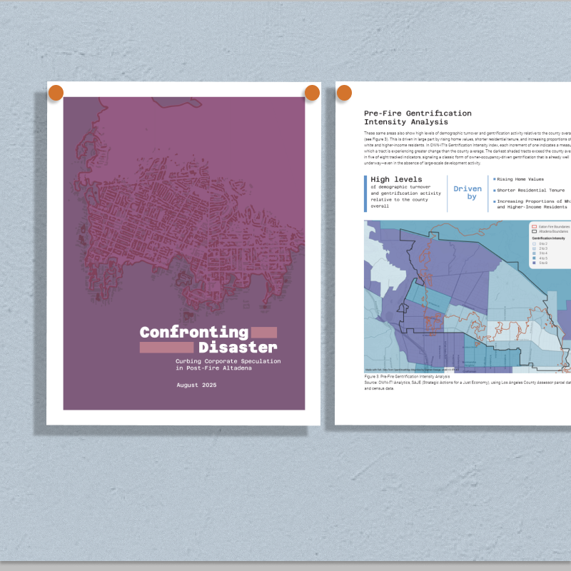 Report | Confronting Disaster