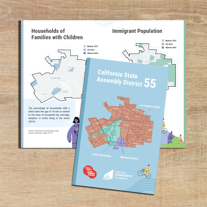 School District Zines - CCF