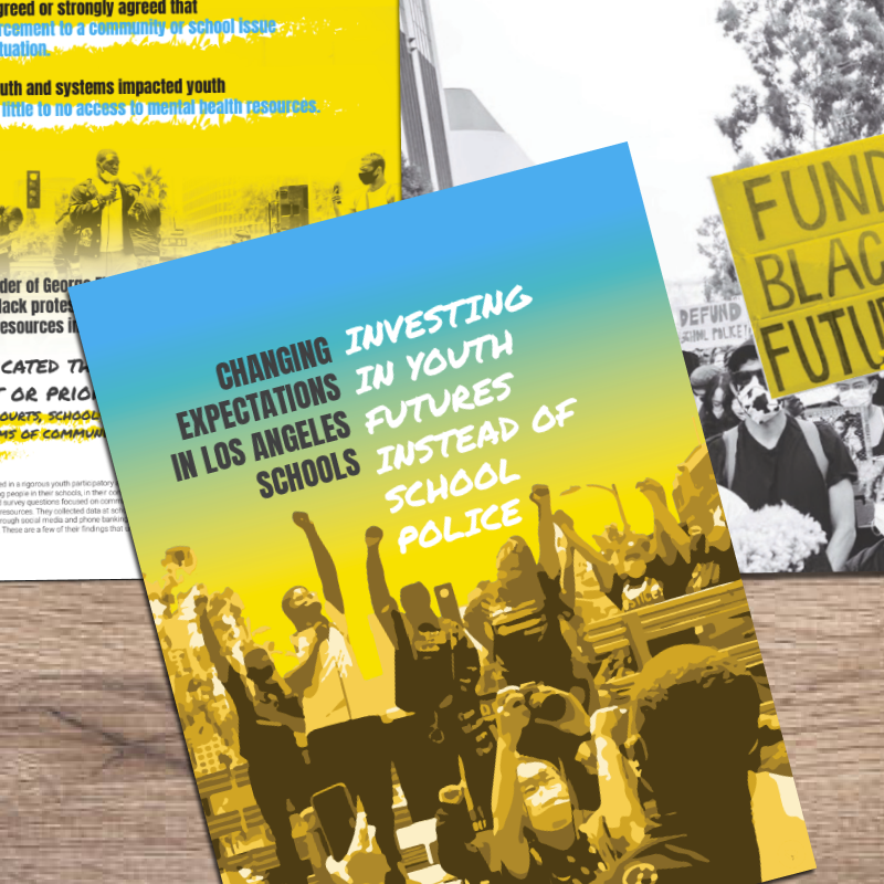 Report | Investing in Youth Futures instead of School Police